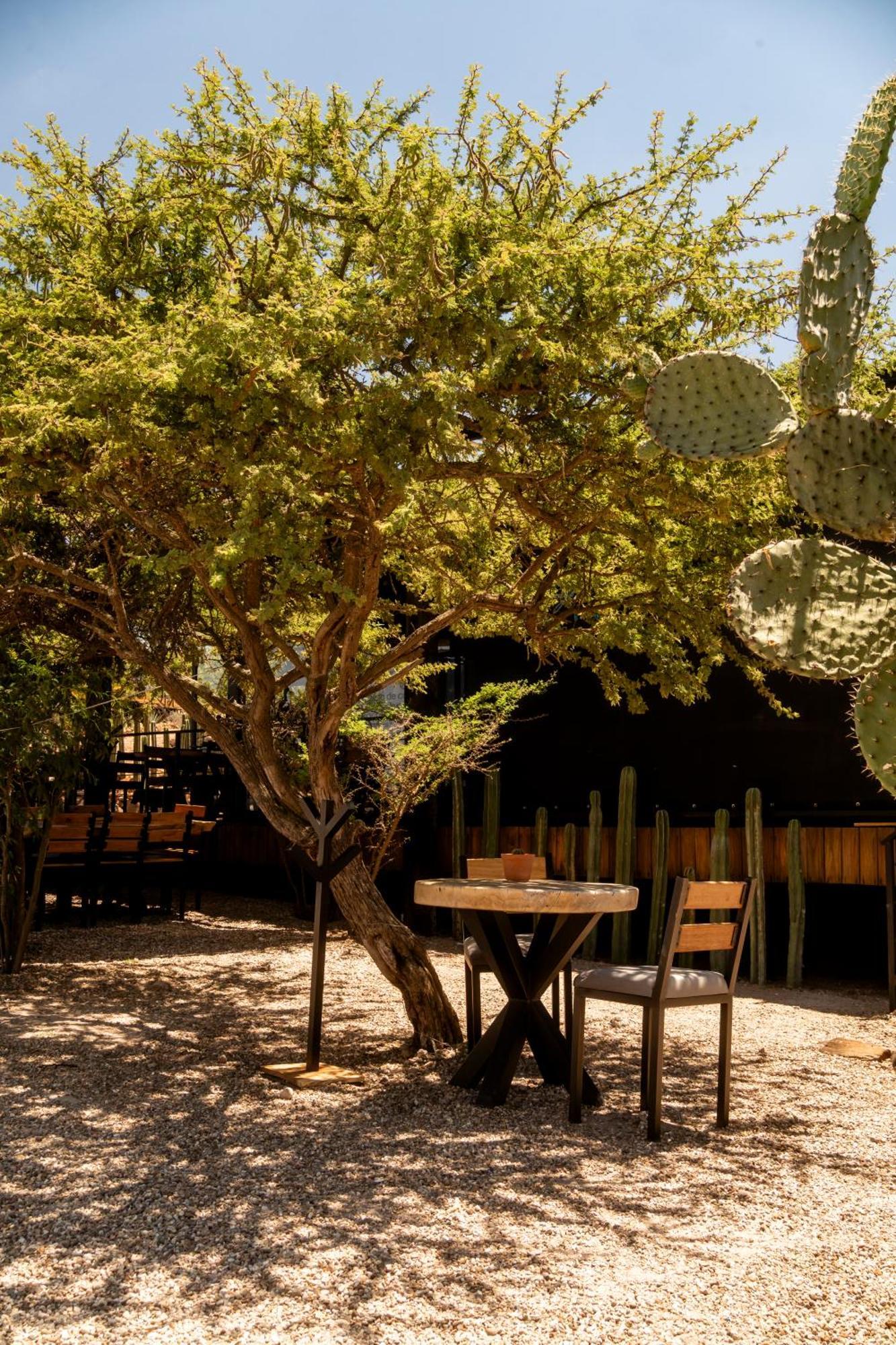 Hotel Coyote Alcocer Екстериор снимка