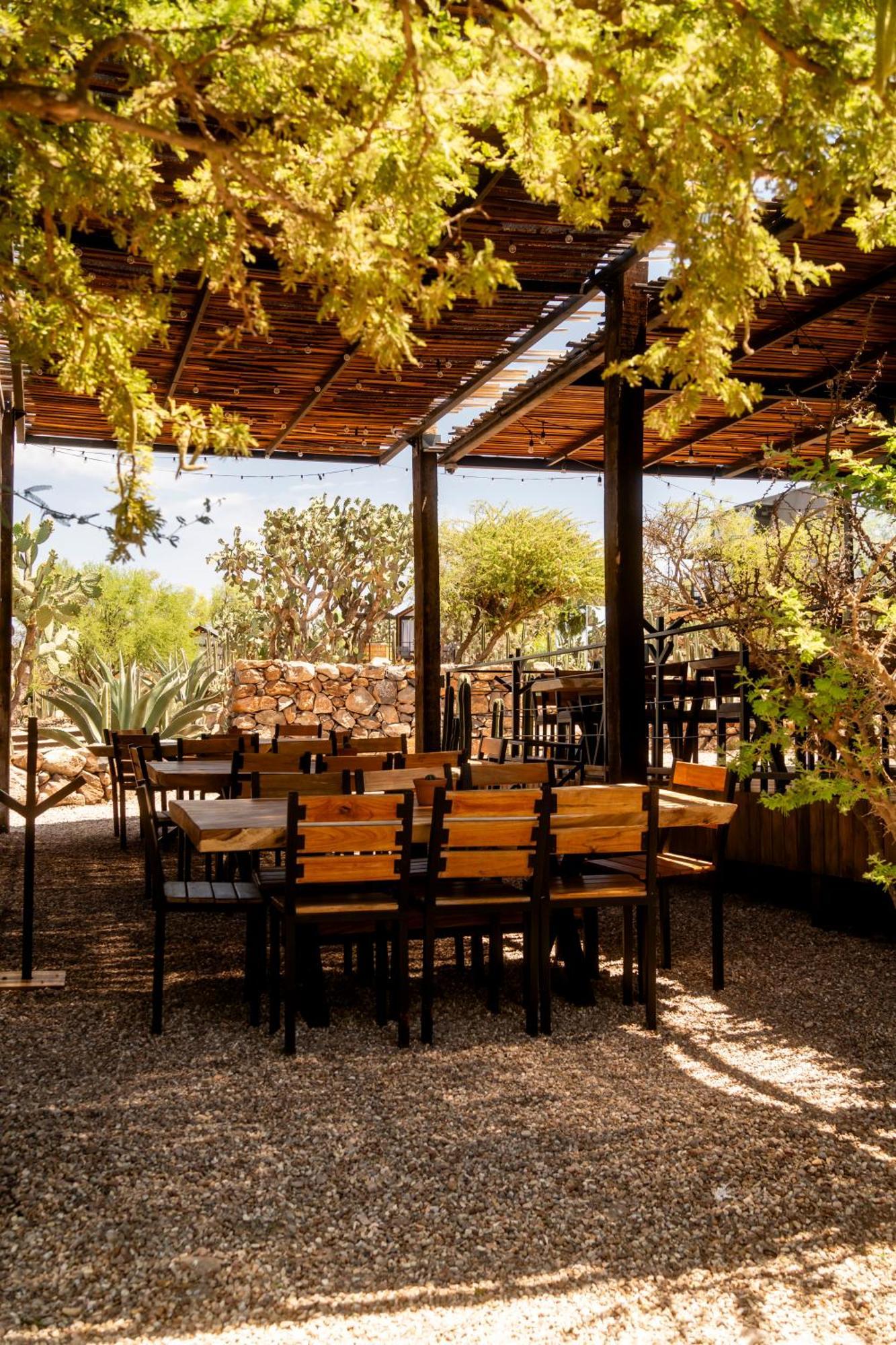 Hotel Coyote Alcocer Екстериор снимка